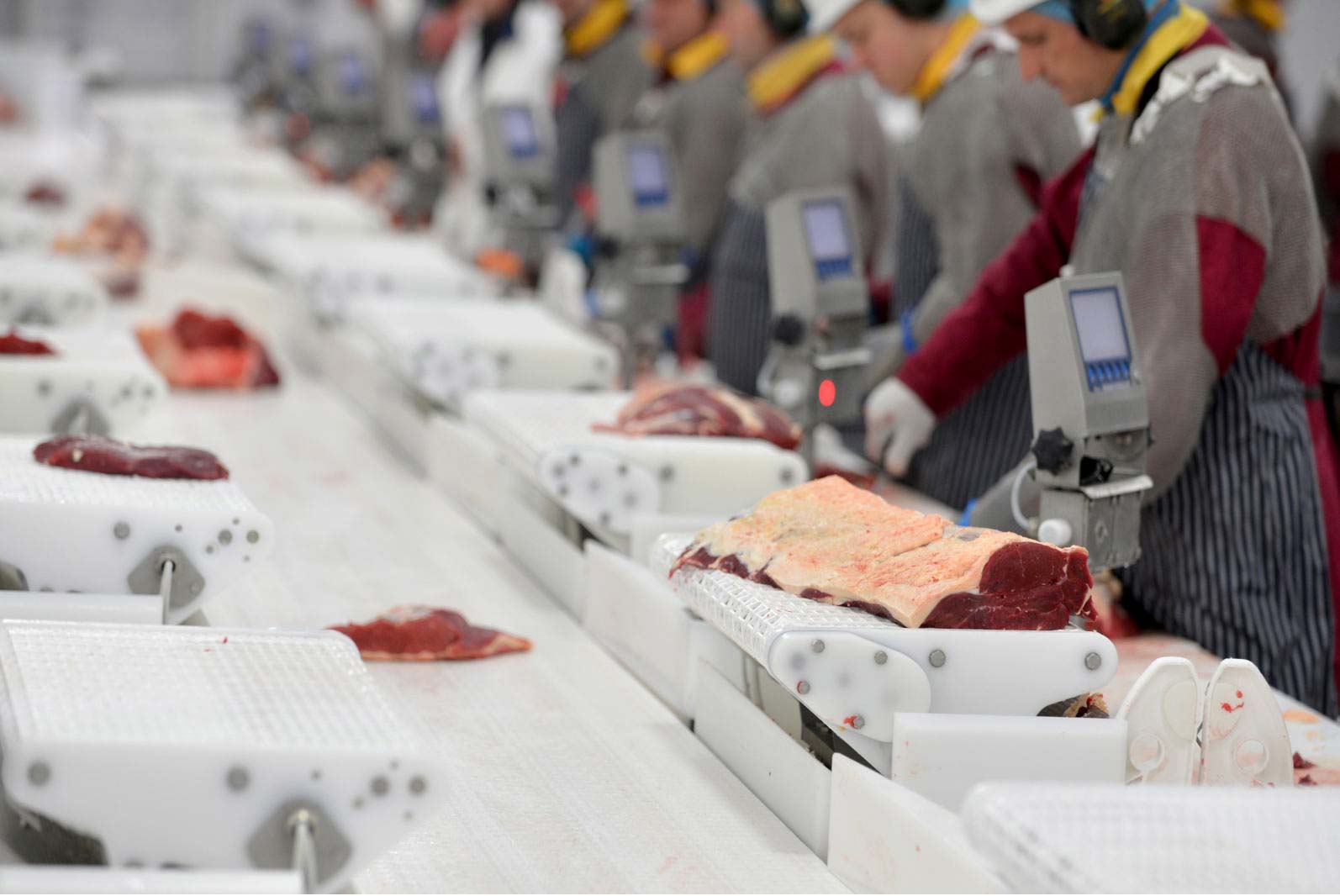 meat-processing-banner